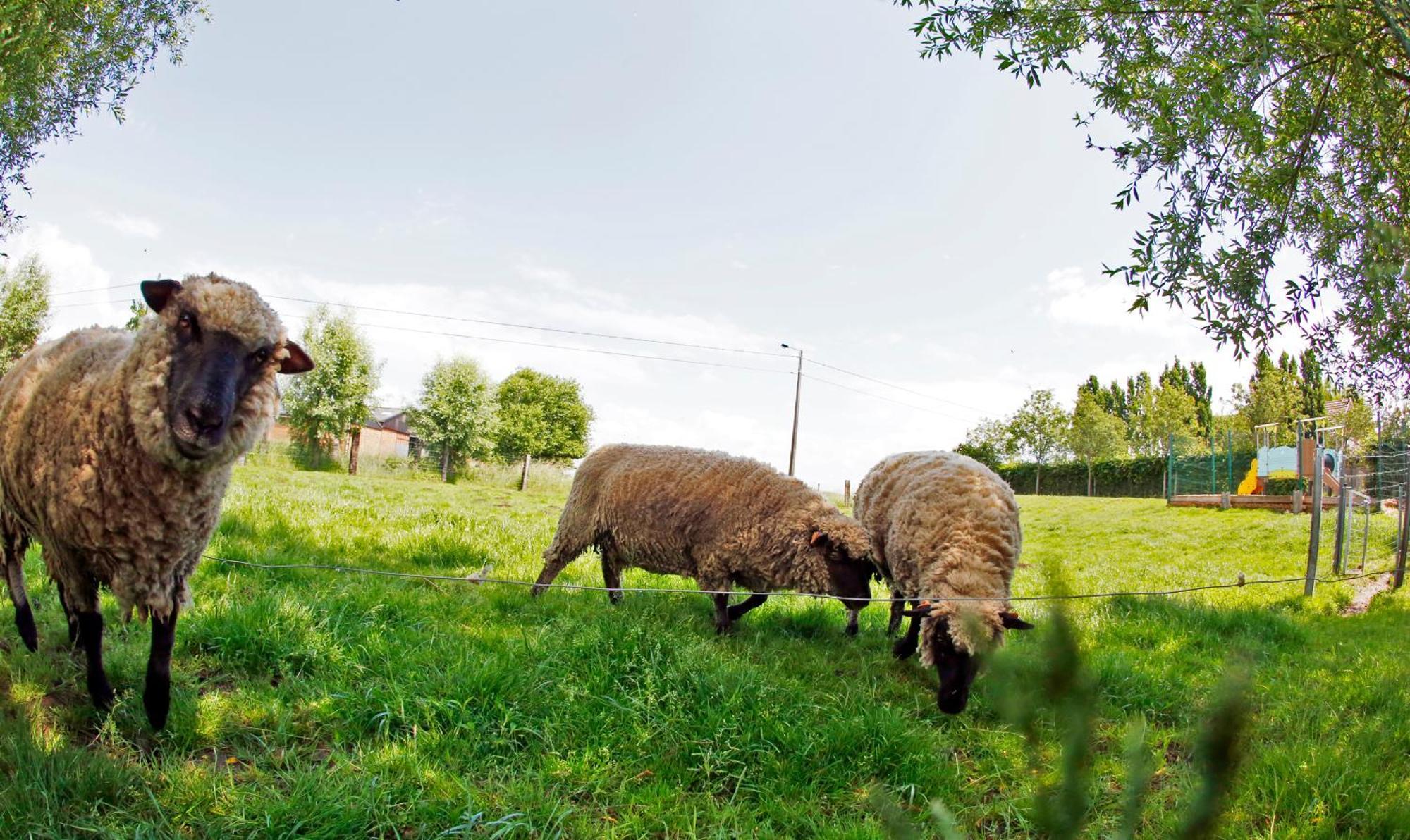 La Ligule Villa Mignault Eksteriør bilde