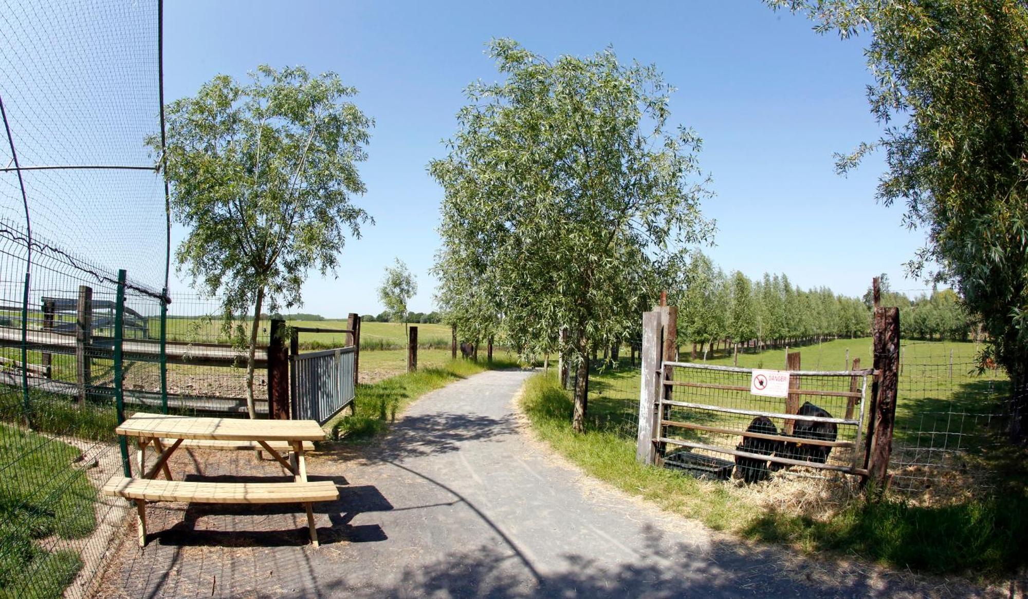 La Ligule Villa Mignault Eksteriør bilde