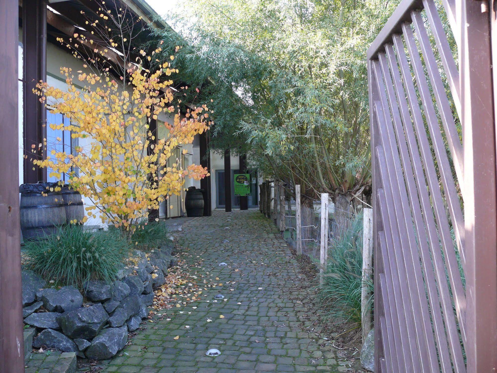 La Ligule Villa Mignault Eksteriør bilde